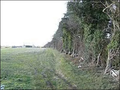 Quelle lettre faut-il remplacer pour obtenir ce qui abrite les yeux ?