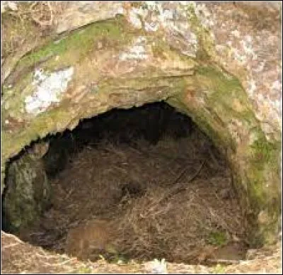 Quelle lettre faut-il remplacer pour obtenir une façon d'agir ?