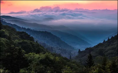 Que voyez-vous sur l'image ?