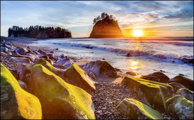 Que voyez-vous sur l'image ?