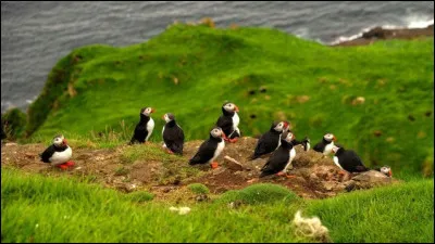Choisissez l'écriture correcte :