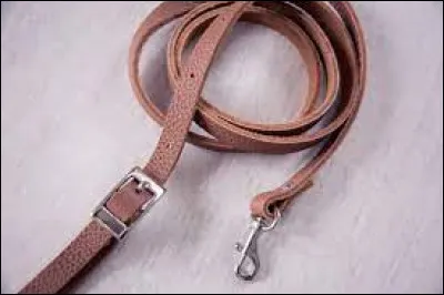 Quelle lettre faut-il remplacer pour obtenir l'abri d'un animal sauvage ?