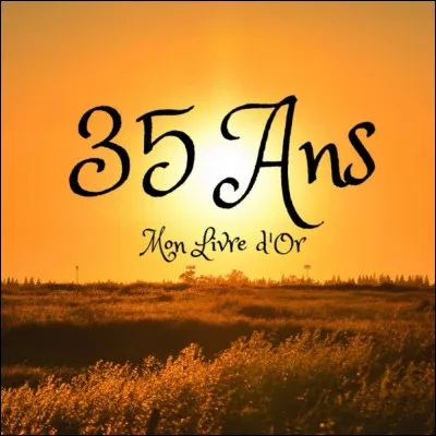 "Elle connaît tout le monde, elle a quelques rires, vagabonde,
Le corps joliment dessiné, elle est bien habillée,
Elle a 35 ans, elle me l'a dit mais ça se voyait."
Qui est l'interprète ?