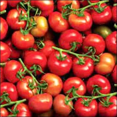 Quelle confiserie inventée aux États-Unis en 1908 porte un nom désignant initialement une tomate ?