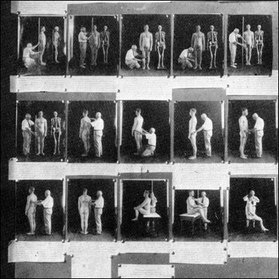 Quel criminologue français est considéré comme le père de lanthropométrie judiciaire ?