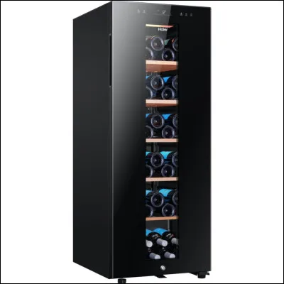 Combien y a-t-il d'équipes engagées pour la coupe du monde de rugby 2023 ?