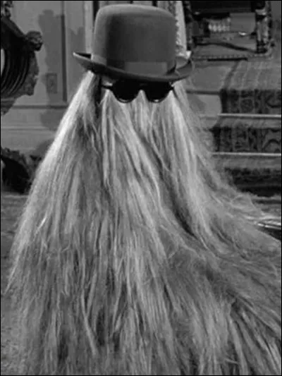 Quel cousin est recouvert de poils dans ''La Famille Addams'' ?