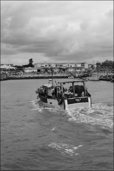 Quel est le lieu photographi ?