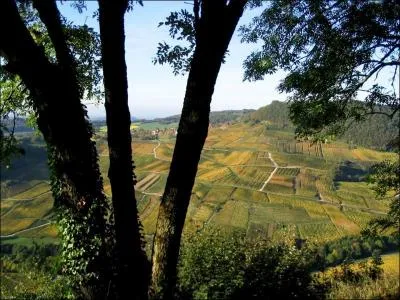 Quel est le lieu photographi ?