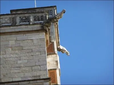 Quel est le lieu photographi ?