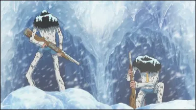 Ces deux personnages, Debby et Pallo, sont des frères géants chasseurs de primes. 
Qui sont-ils ?