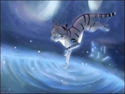 Quel est le début des noms des chefs ?