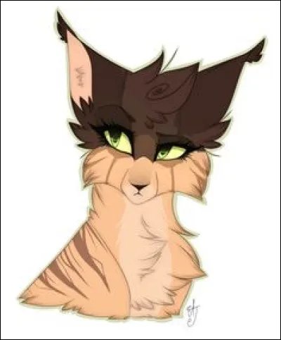 Quel est le rôle du guérisseur ?