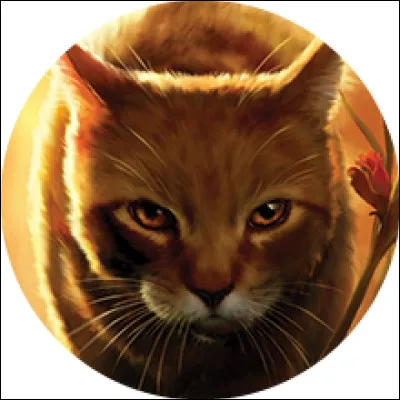 Comment Feuille de Houx meurt-elle ?