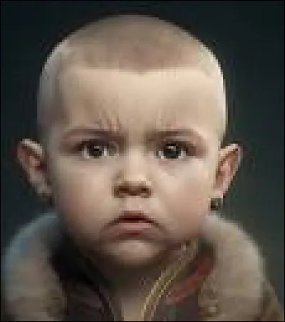 Il aime le quidditch, les défis, et rendre Ron jaloux !