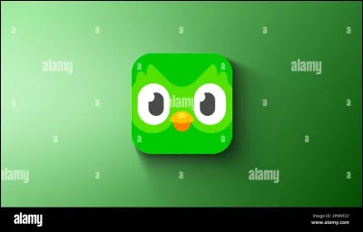 Cette applications sert à l'apprentissage des langues, c'est :