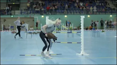 Quel est le record de saut en hauteur ?