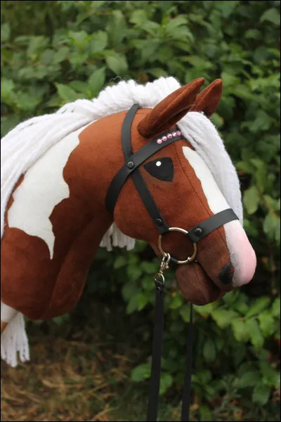 A-t-on besoin dun filet ?