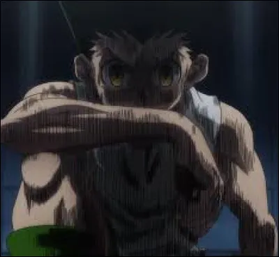 Que déteste Gon parmi ces quatre choses ?