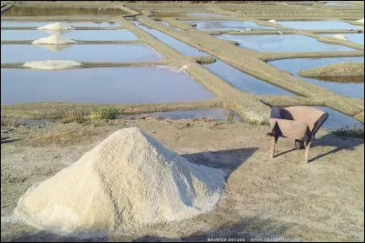 Quel métier exerce une personne qui travaille aux marais salants ?