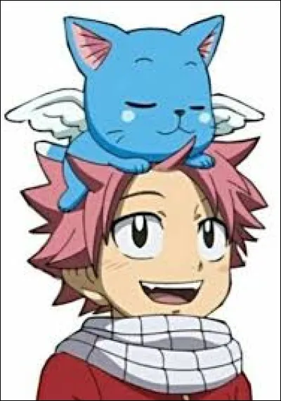 Lequel de ces deux animaux est ton préféré ?