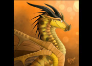 Test Quel dragon hybride de LRDF es-tu ?