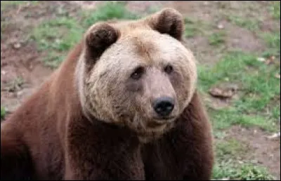 Que préfères-tu faire ?