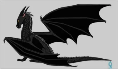 Quel animal préfères-tu ?