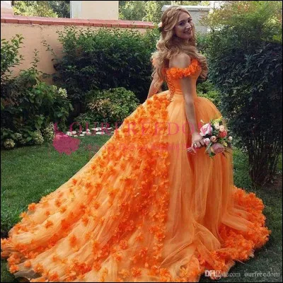 De quelle couleur voudrais-tu que ta robe soit ? (2/3)