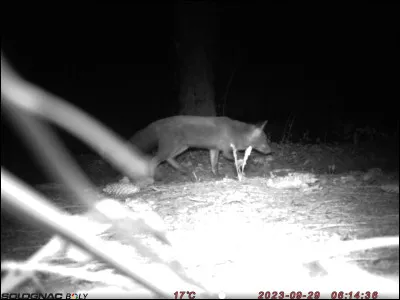 Retrouvez une oeuvre !