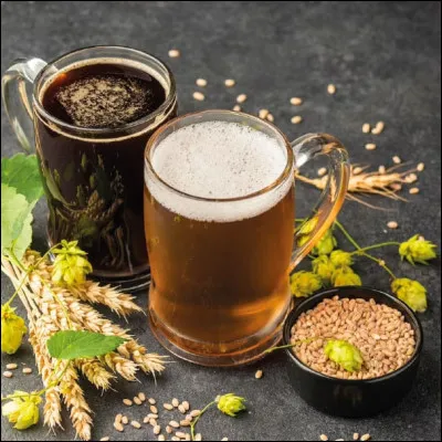 Quel est l'ingrédient n'étant pas principal dans la fabrication de la bière ?