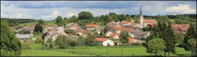 Village lorrain dans l'arrondissement de Neufchâteau, sur les bords du Madon, Lerrain se situe dans le département ...