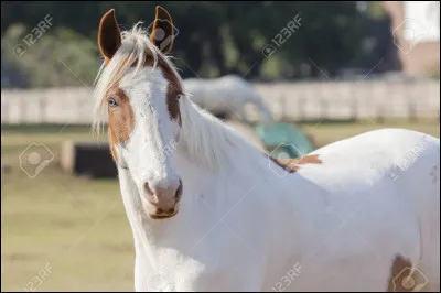 O&ugrave; serais-tu ?