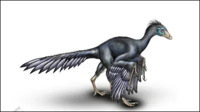 Quel est ce dinosaure ?