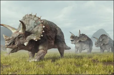 Quel est ce dinosaure ?