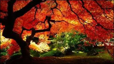 Dans quelle ville les écrivains communistes du groupe "Octobre" étaient-ils actifs ?