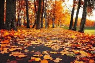 De quel livre le film "À la poursuite d'Octobre rouge" est-il inspiré ?