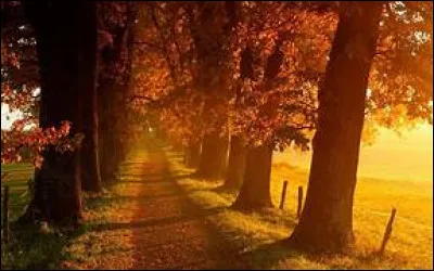 Quelle fête retrouve-t-on au mois d'octobre ?