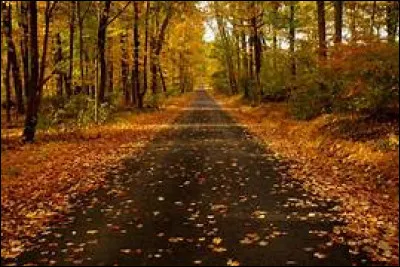 De quelle saison le mois d'octobre est-il le deuxième mois ?