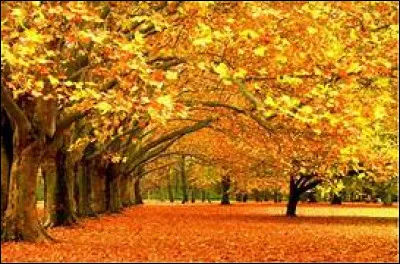 De quel signe zodiacal êtes-vous doté si vous êtes né au début du mois d'octobre ?