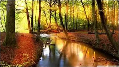 Comment le mois d'octobre est-il appelé en vieil anglais ?