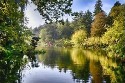 En quelle année la révolution d'Octobre s'est-elle déroulée ?