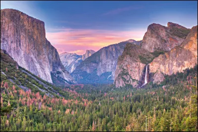 Quel animal est le symbole de la Californie ?