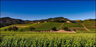 Comment s'appelle la vallée californienne connue pour son vin ?