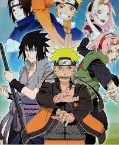 Qui est un spécialiste des armes de ninjas ?