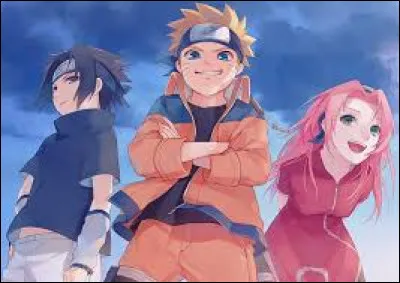 Qui est un ninja de Konoha ?