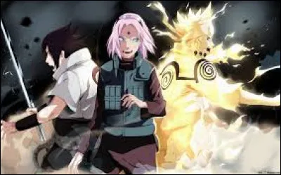 Qui possède un sceau ?