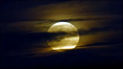 Qui est le compositeur de ''La sonate au clair de lune'' ?