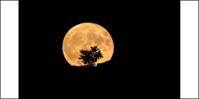 Quels phénomènes terrestres sont directement liés à l'influence de la Lune ?