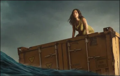 Quel film Netflix est représenté par cette affiche ? C'est l'histoire d'une femme enceinte, seule, et prisonnière d'un conteneur à la dérive, qui fait tout pour survivre.